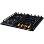 Hob Kuppersberg FV6TGRZ-ANT