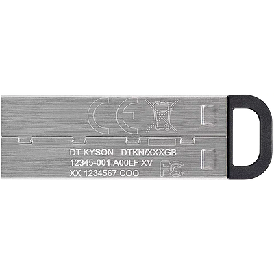 Flash Drive Kingston USB DTKN/64GB USB 3.2 Gen 1