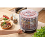 Food Dehydrator Sencor SFD 3109BK Black