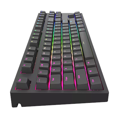 Gaming Keyboard Dark Project KD87A G3MS Mech. RGB - Black