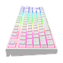 Gaming Keyboard Dark Project KD87A Pudding G3MS Opt. RGB - White