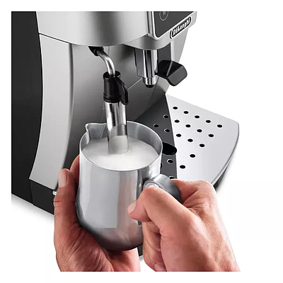 Espresso Maker Delonghi DL ECAM220.31.SB Silver / Black