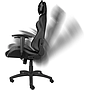 Gaming Chair Genesis Nitro 440 Black / Grey