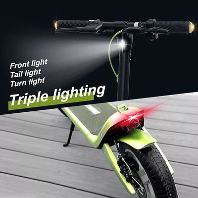 Electric Scooter Franko 350W (FS-M1) - Black