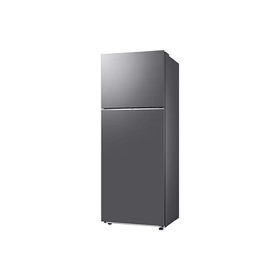 Refrigerator Samsung RT47CG6442S9WT Inox