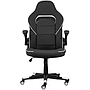 Gaming Chair 2E HEBI (2E-GC-HEB-BKWT) - Black + White