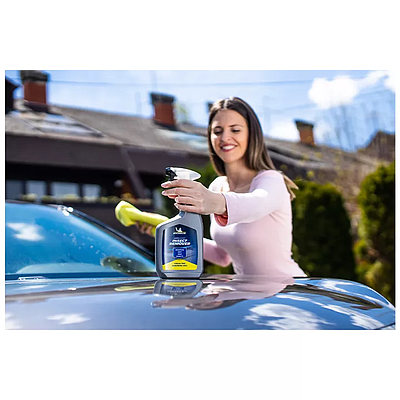 Car Insect Remover Michelin 650ml