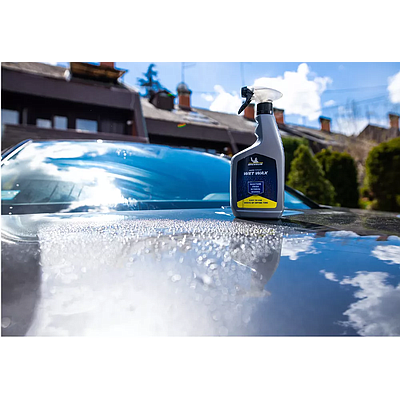 Car Wet Wax Michelin 650ml (31968)