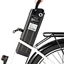 Electric Bike DYU 12.5AH 36V 350W - White