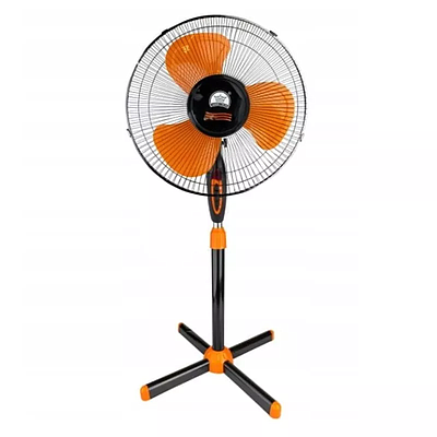 Fan Crown (FS-1619) (68812020241619)