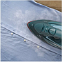 Iron Electrolux E6SI1-6PG Pine Green