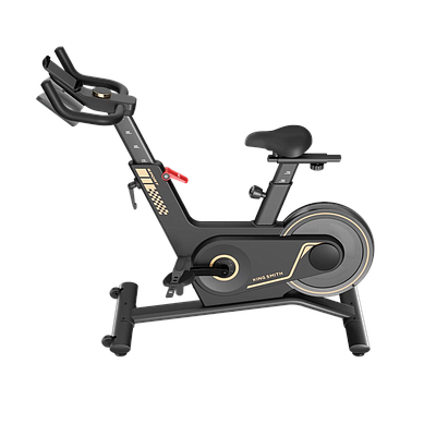 WalkingPad Kingsmith Spinning Bike (PB08S) - Black