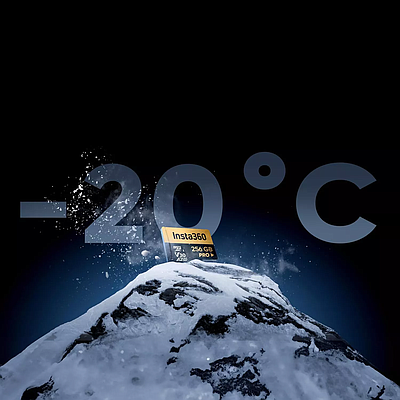 Memory Card Insta360 microSDXC Pro (256GB) - Black + Gold