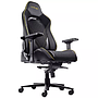 Gaming Chair Trust GXT721 Ruya Pro (25186) - Black