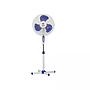 Fan Crown (FS-1619) (68812020241619)
