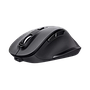 Rechargeable Wireless Mouse Trust Fyda (24727) - Black